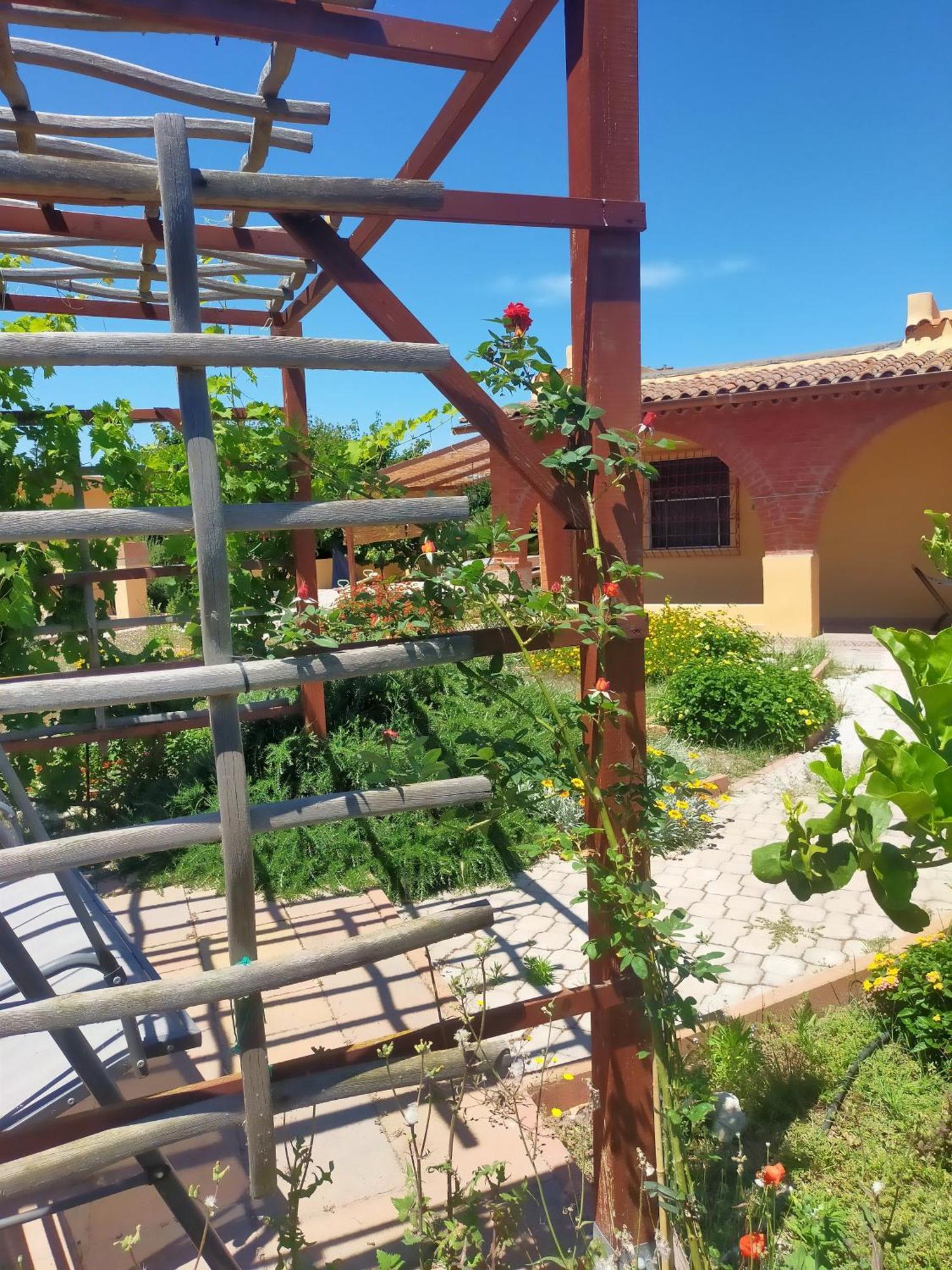 Casa Marina Lu Tuvaraggiu Casa Vacanze Sorso Dış mekan fotoğraf
