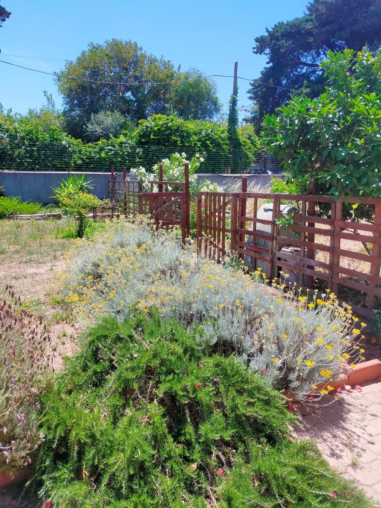 Casa Marina Lu Tuvaraggiu Casa Vacanze Sorso Dış mekan fotoğraf